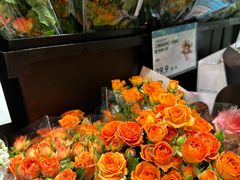 -鲁秀才炒鸡(龙湖西溪天街店)