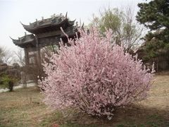 景点-盛世南宫影视城(北普陀影视城)