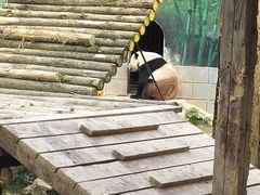 -南昌动物园