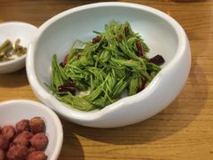 炝拌松尖-潮粥荟·潮汕砂锅粥(朝阳大悦城店)