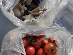 -大自然农场蔬菜草莓采摘园