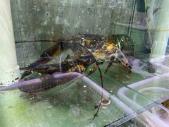 -胖子饺子馆·海鲜家常菜(海军博物馆店)
