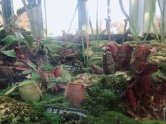 -国家植物园南园