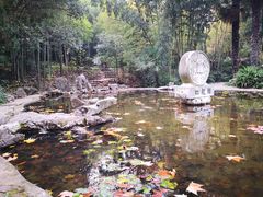 -镇江市南山风景名胜区竹林景区