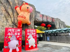 -合肥野生动物园