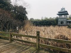 -金鸡湖桃花岛