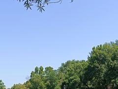 -青龙山国家森林公园