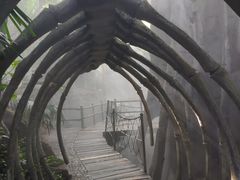 -青青世界