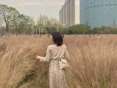 -艾溪湖湿地公园