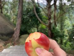 -火炉山森林公园