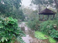 -杭州花家山庄