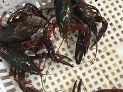 -戴记龙虾(天泽街店)