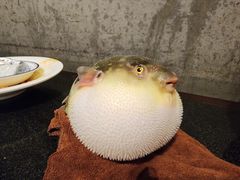 -永安鱼庄·镇江菜(东吴路店)