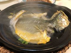 泉水黄花鱼-锦園(伊势丹美食城店)