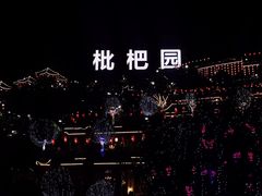 -枇杷园食为鲜火锅(南山店)