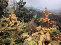 -陕西自然博物馆