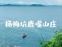 -鹿嘴山庄