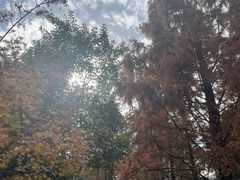 -苏州河梦清园环保主题公园