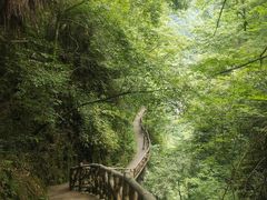 -鹿院坪生态旅游景区