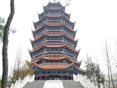 -铁山坪森林公园