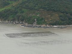 -小皓村