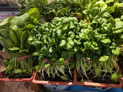 -旺角小渔村(幸福中路店)