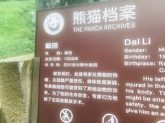 -都江堰中华大熊猫苑