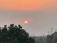 -上海崇明金茂凯悦酒店