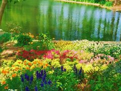 -上海共青森林公园