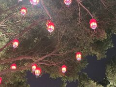 -闽江夜游台江旅游码头