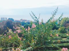 -石老人观光园