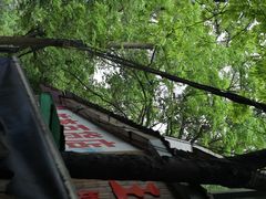 -文武王氏烧饼·无矾油条(西溪路店)