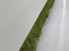 -极简口腔(总院)