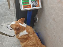 -狗舍宠物医院(四季商业广场店)