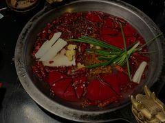 -黄潇洒老火锅(九眼桥宏济巷店)