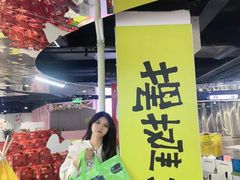 -鹏欣水游城