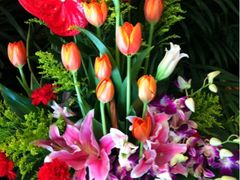 -静岸花卉园艺(三星坊店)