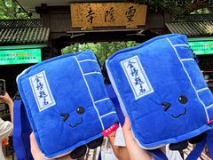 -南宋胡记(杭州灵隐寺店)