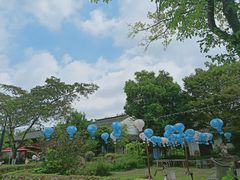 -田园东方蜜桃村的田野营地