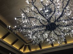 -三清山希尔顿度假酒店