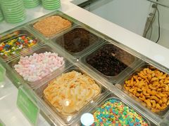 -Salud撒露欧洲冻酸奶(蓝色港湾店)