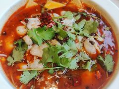-蜀腾川·火锅鱼.烤鱼(新世界城店)