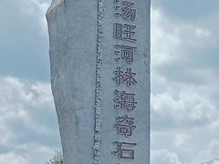 -汤旺河林海奇石景区