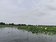-焦岗湖旅游度假区