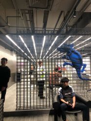 -斑斓色彩沙龙