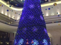 -廊坊固安福朋喜来登酒店