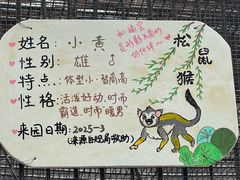 -保定市动物园