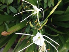 iphone_upload_pic-三亚凤凰水城凯莱度假酒店