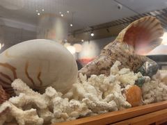 -菊上料理(蜀山银泰百货店)