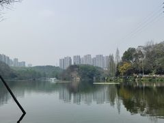 -重庆彩云湖湿地公园
